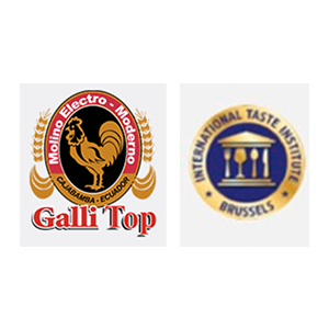 gallitop logo
